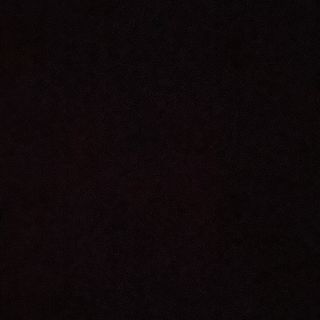 kate_and_dima.pr