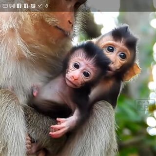 kenia_bimba