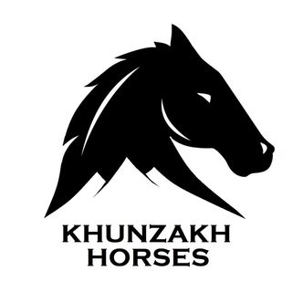 khunzakh_horses