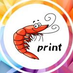 krivetka_print_birki