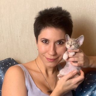 larchik_devonrex