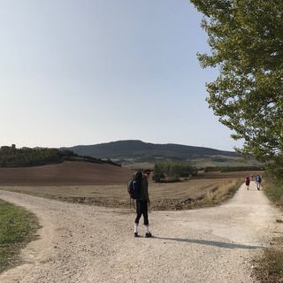 lsy_810815