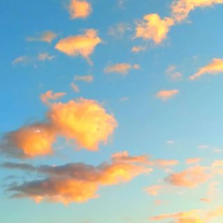 mila1978mila1978mila