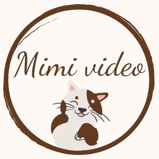 🐼 МИЛЫЕ ЖИВОТНЫЕ 🐶 @mimivideo в Инстаграм