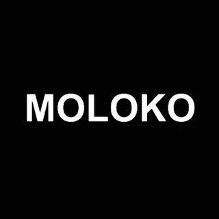 moloko.blg