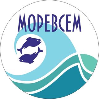 more_vsem_nf