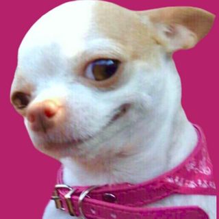 Эротическая Шутница💝🤪 @mrs_erotic_joker в Инстаграм