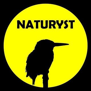 naturyst