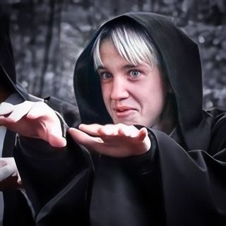 noski_dobby