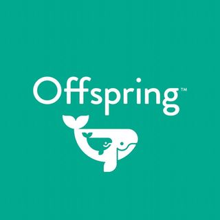 Эко-подгузники Offspring @offspring.rus в Инстаграм