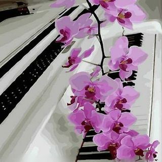 orchids_world_