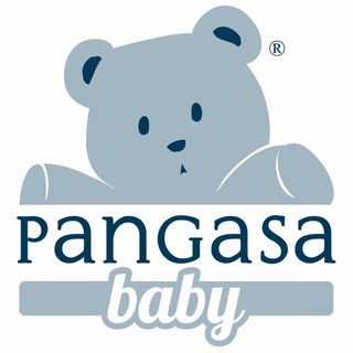 pangasababy_official