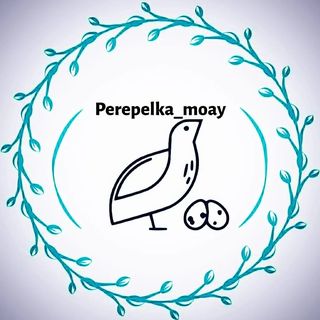 perepelka_moay