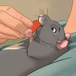 pet_disneyfication