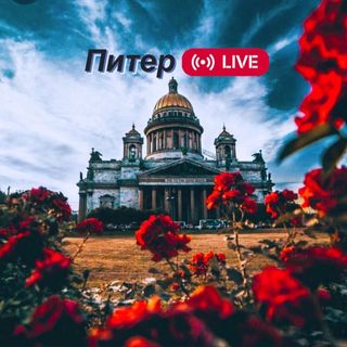 piterlive24