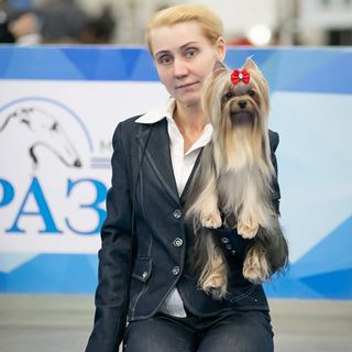 pitomnik_fleming_silk