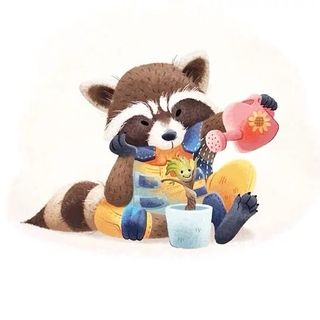 raccoon_irina
