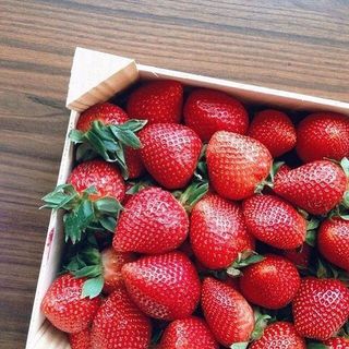 recipe_zozh_pp