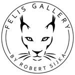 Felis Gallery by Robert Sijka @robert_sijka в Инстаграм