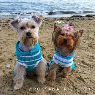 roksana_rich_style