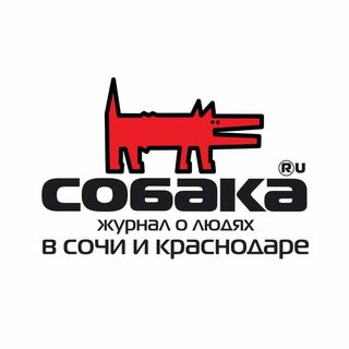 sobaka.sochi