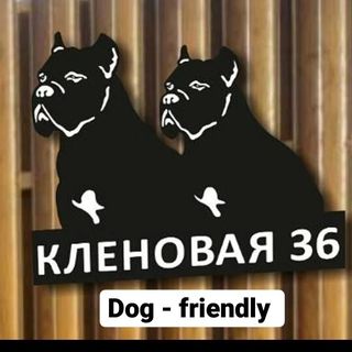 Dog -friendly, отдых на море ! @sobaka_more_divnomorskoe в Инстаграм