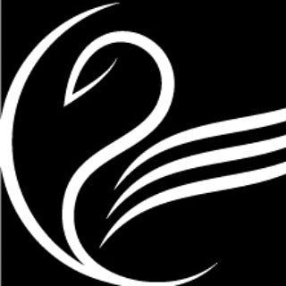 swan_barnaul