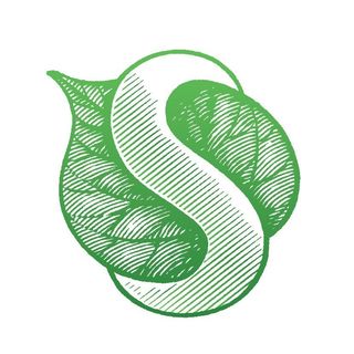 synergetic.ru