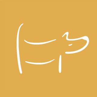 thefoggydog