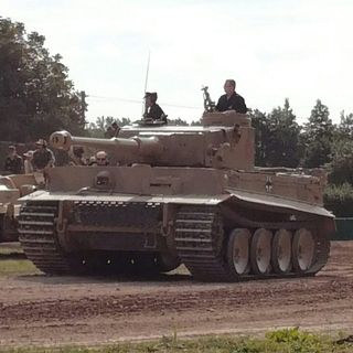 tiger_1_3_1