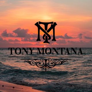 tony_montana_novomihailovskiy