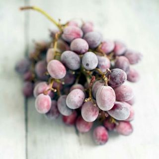 veganstvo_syroedenie