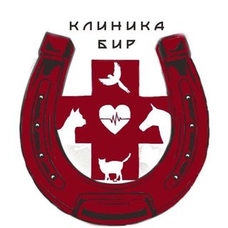 ВЕТЕРИНАРНАЯ  КЛИНИКА 