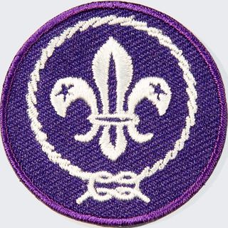 worldscouting