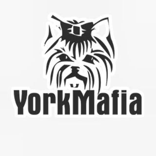 york.mafia