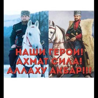za_delimkhanov95